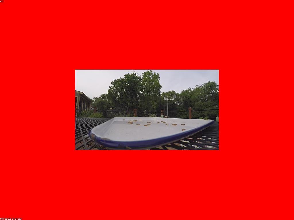 ការព្យាករ និងន័យសំខាន់របស់វា